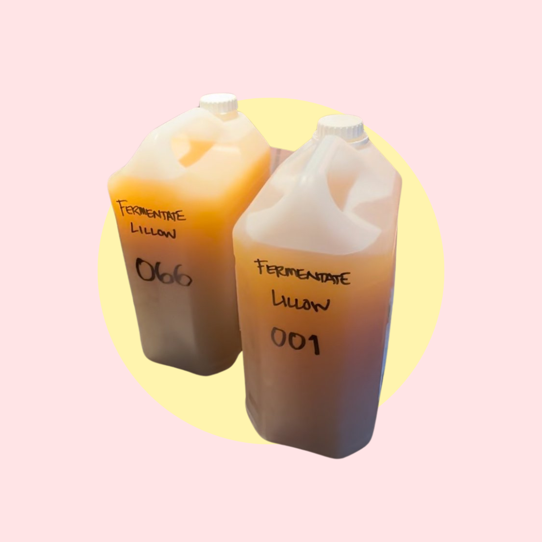 From Waste to Refreshment: How Lillow is Changing the Drink Industry